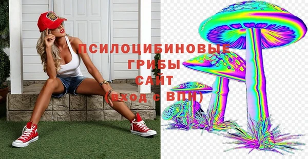 твердый Белоозёрский